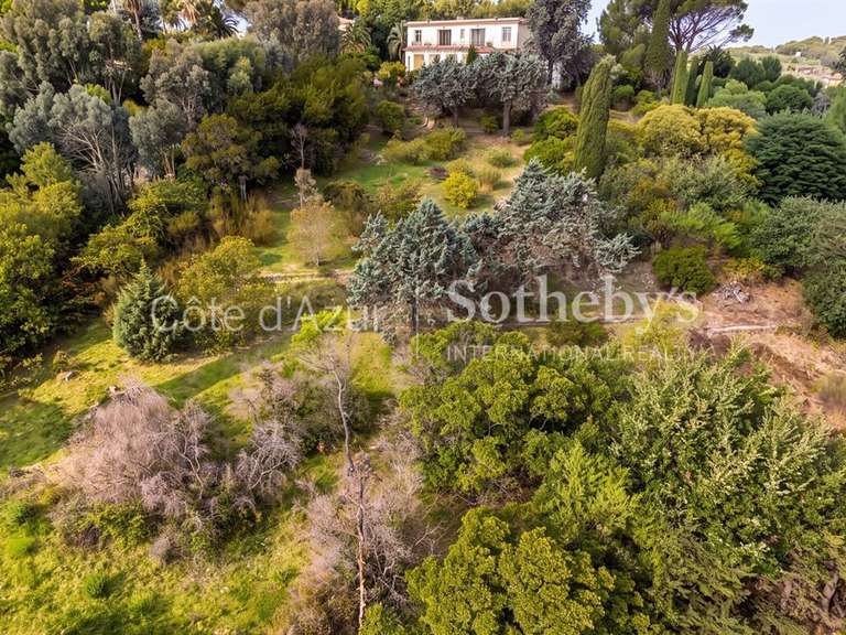 Land with Sea view Vallauris - 6071m²