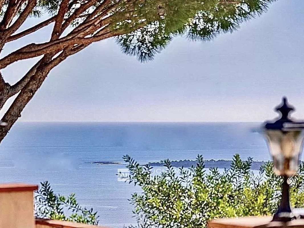 Villa Vallauris