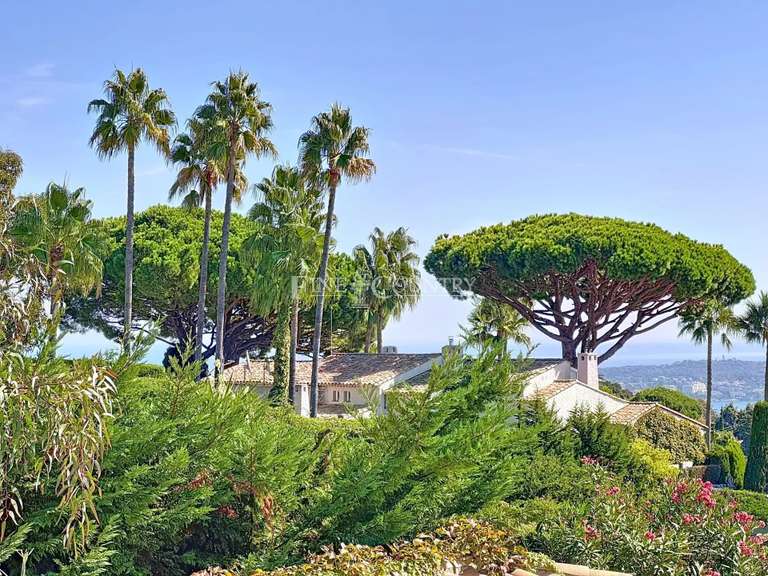 Villa Vallauris - 3 chambres - 260m²