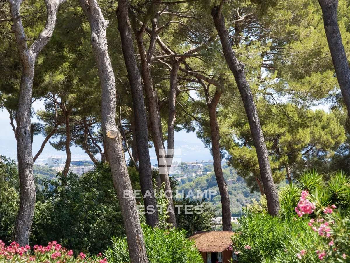 Villa Vallauris