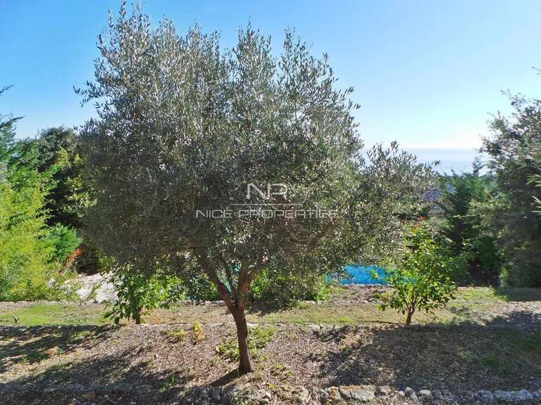 Villa avec Vue sur mer Vallauris - 5 chambres - 330m²