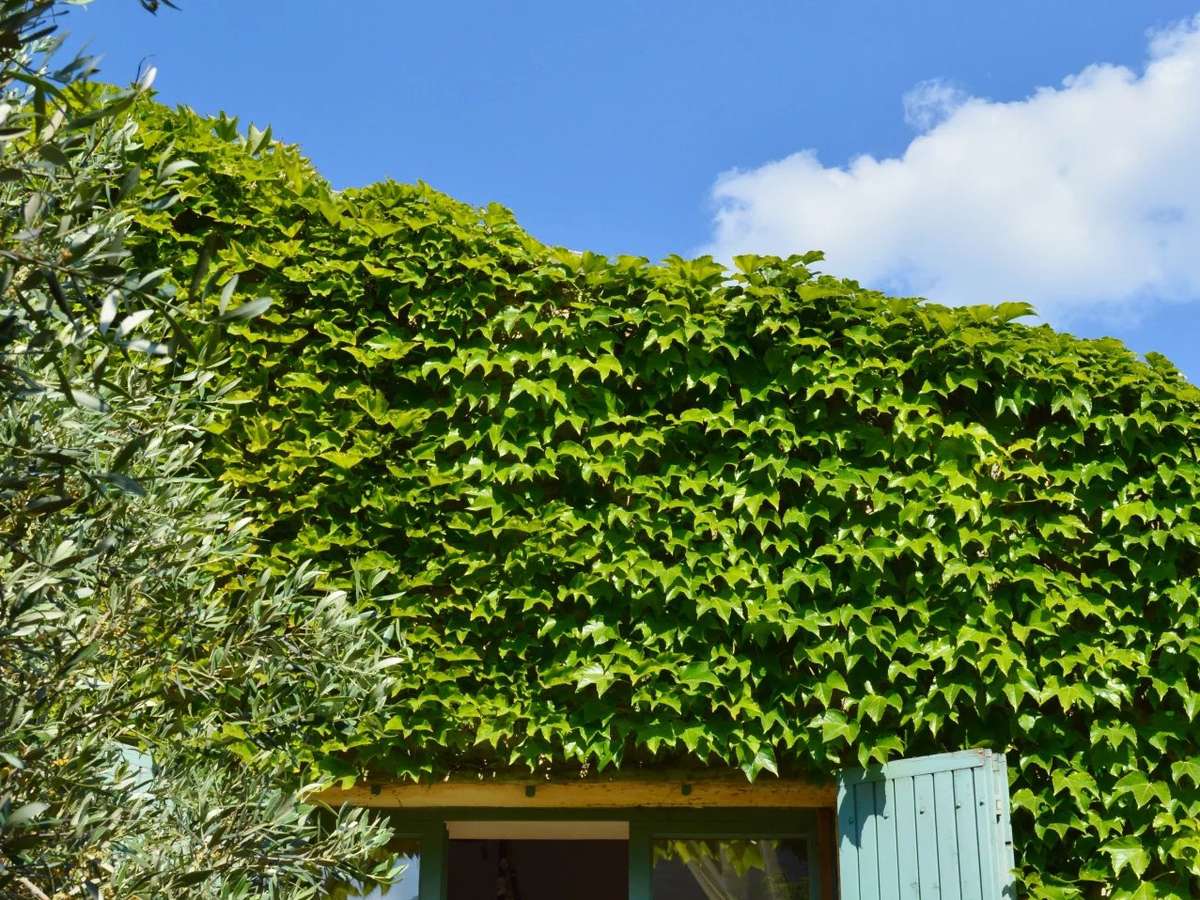 Maison Valliguières