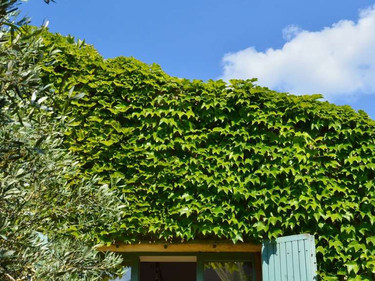 Maison Valliguières - 3 chambres - 195m²