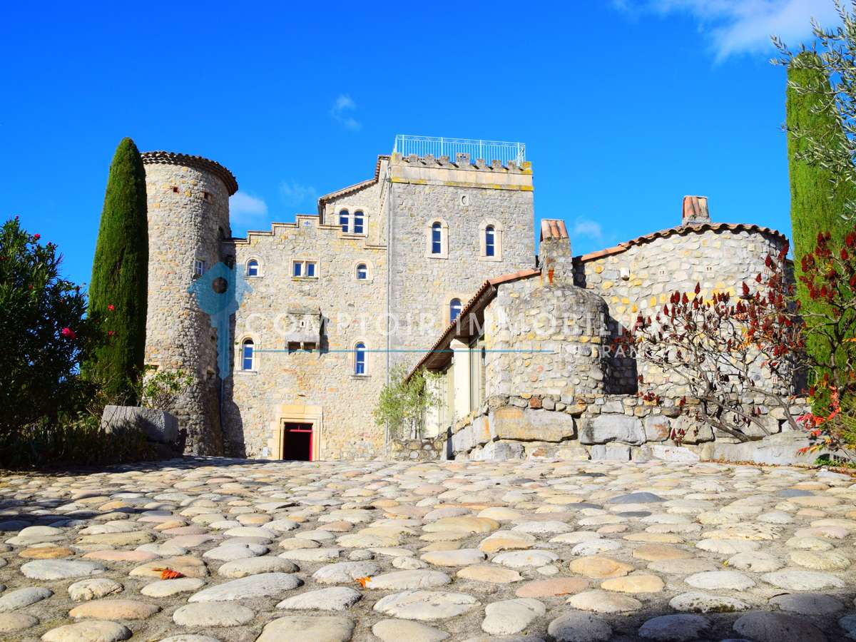 Château Vallon-Pont-d'Arc