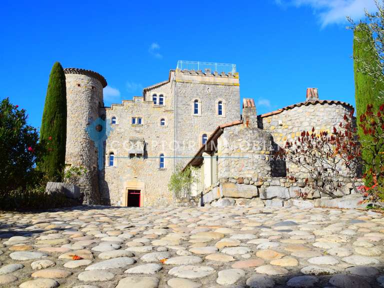 Château Vallon-Pont-d'Arc - 37 chambres - 1823m²