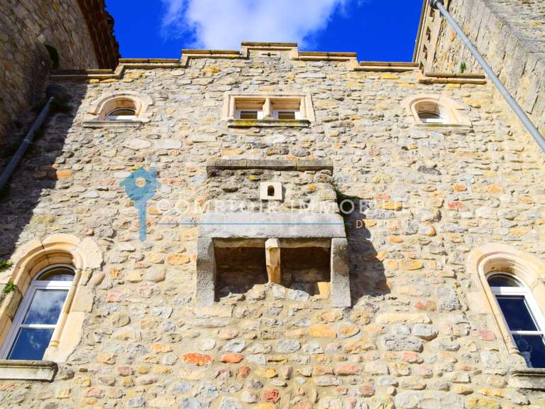 Château Vallon-Pont-d'Arc - 37 chambres - 1823m²