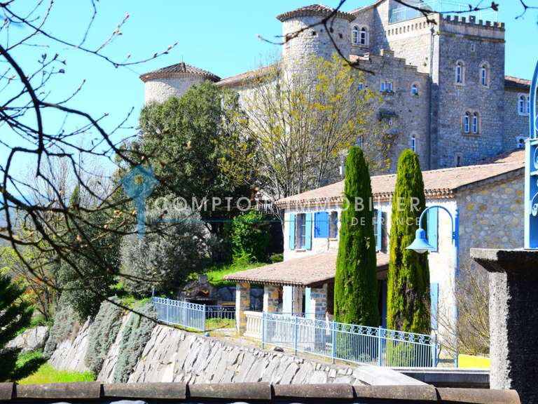 Château Vallon-Pont-d'Arc - 37 chambres - 1823m²