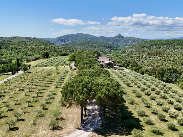 Propriété Vallon-Pont-d'Arc - 5 chambres - 450m²