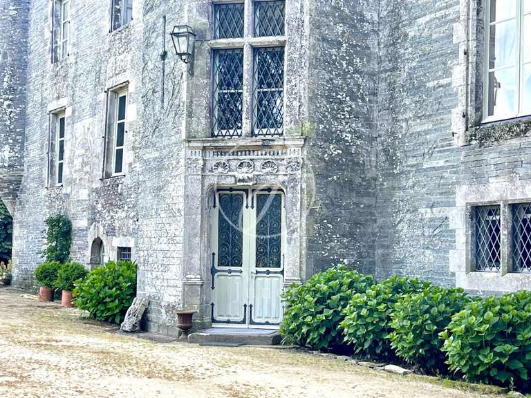 Château Vannes - 12 chambres - 800m²