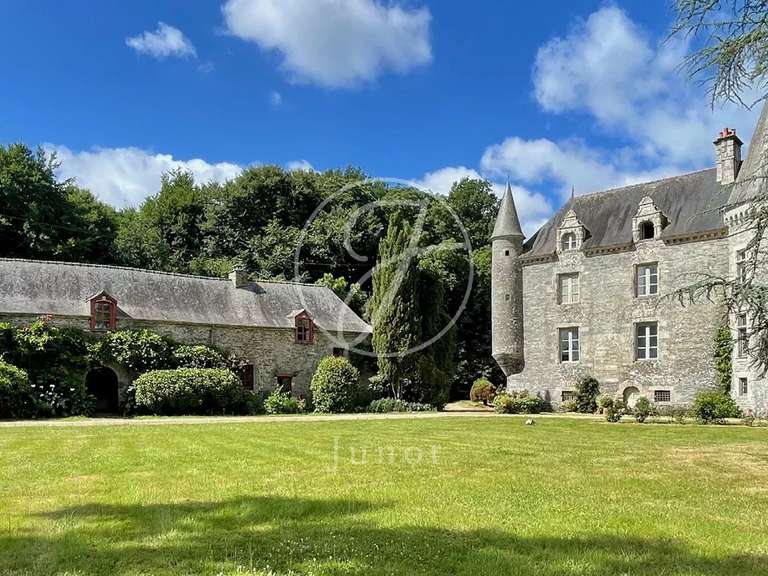 Château Vannes - 12 chambres - 800m²