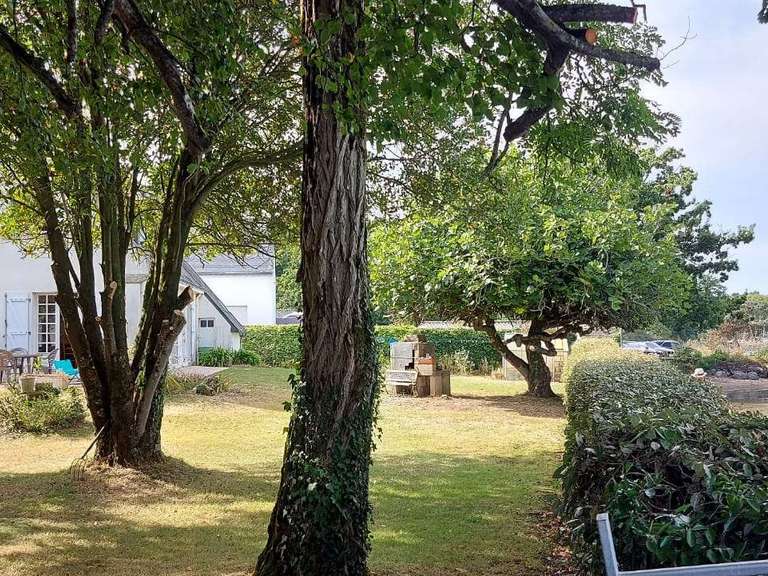 House Vannes - 5 bedrooms