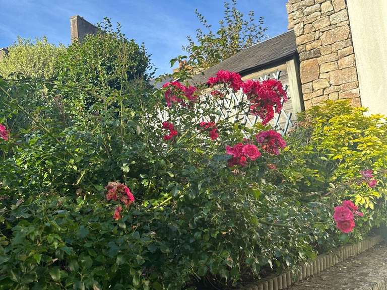 House Vannes - 5 bedrooms