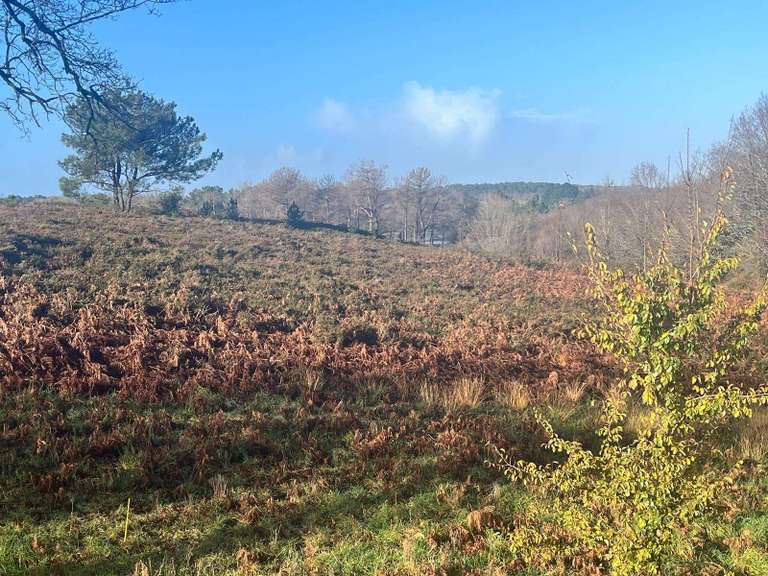 House Vannes - 5 bedrooms