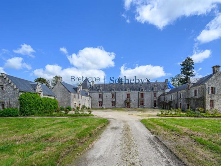 Sale Manor Vannes - 10 bedrooms