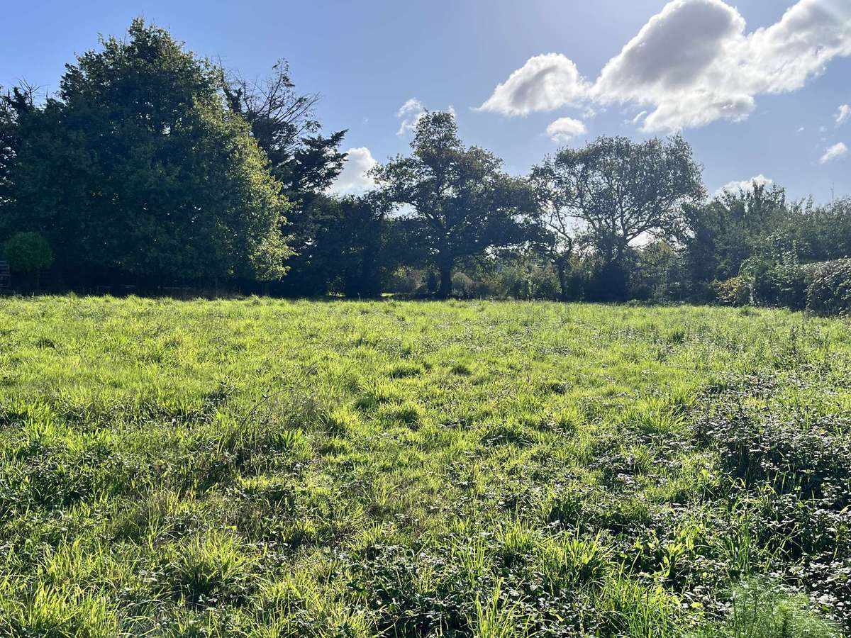 Terrain Vannes