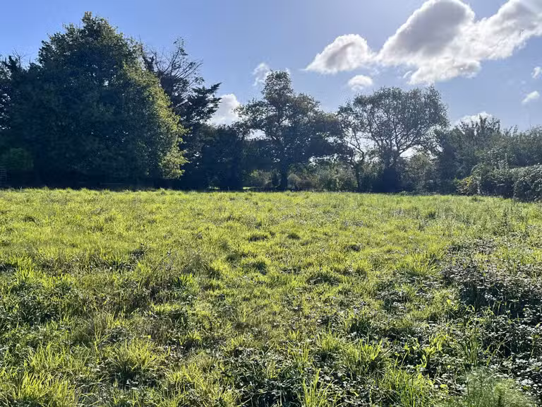 Terrain Vannes