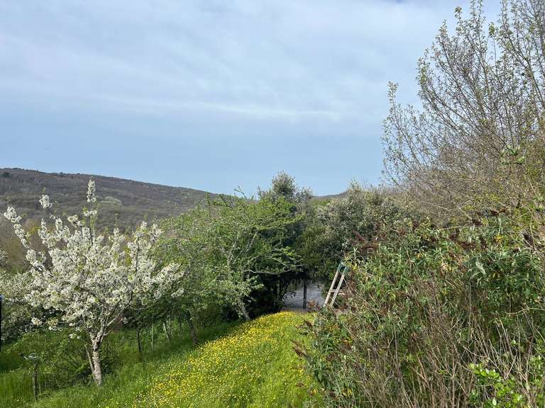 Maison Vaour - 5 chambres - 265m²