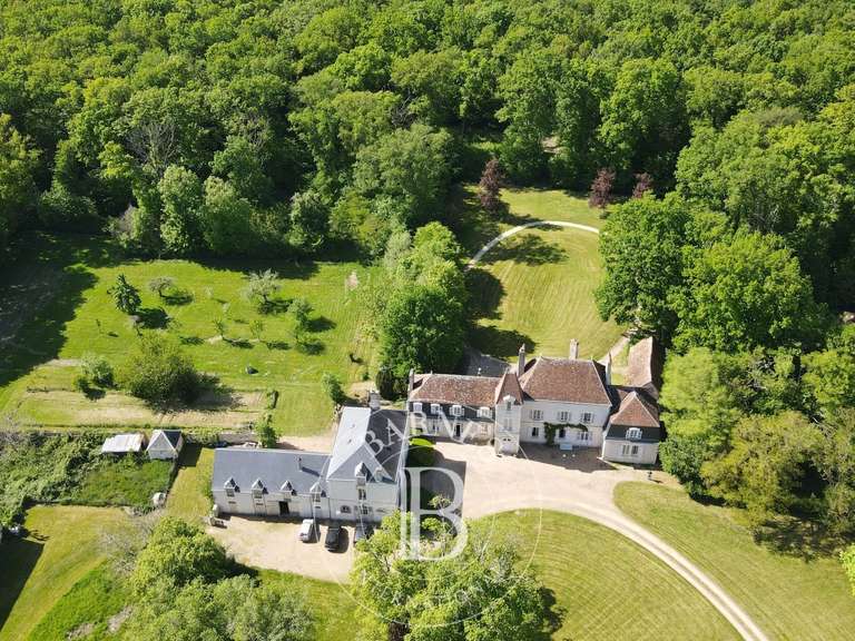 Castle Vatan - 13 bedrooms