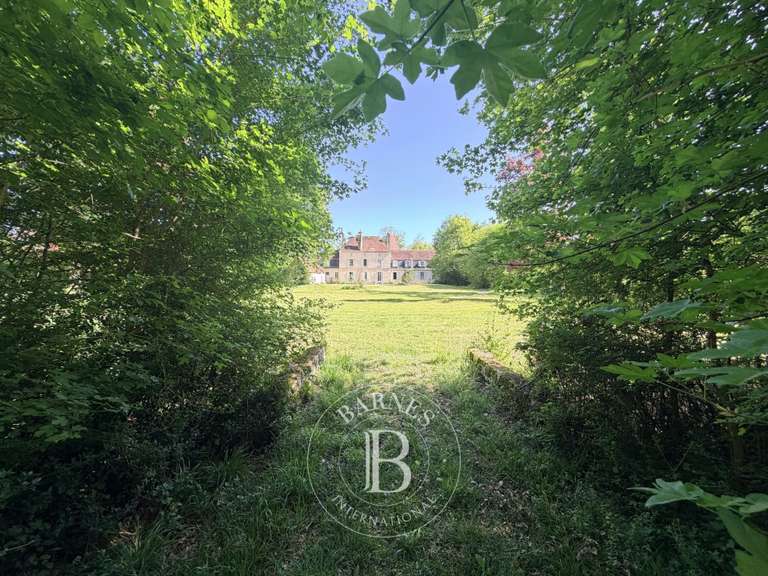 Castle Vatan - 13 bedrooms