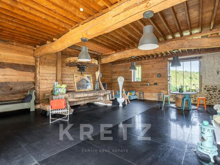 Maison Vaux-en-Beaujolais - 9 chambres - 522m²