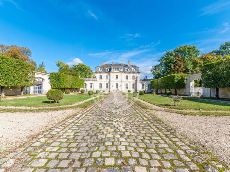 Vente Château Vaux-le-Pénil - 10 chambres