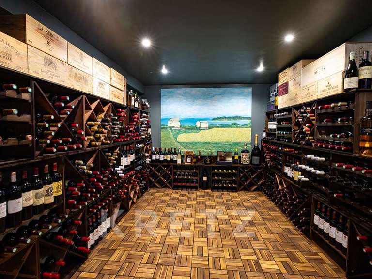 Maison avec Vue sur mer Vaux-sur-Mer - 7 chambres - 510m²