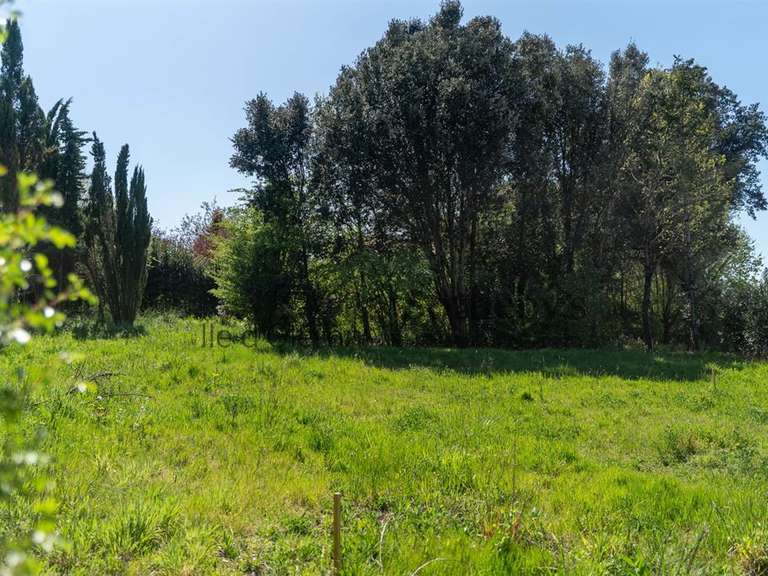 Terrain Vaux-sur-Mer - 1611m²