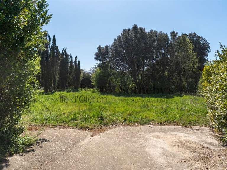 Terrain Vaux-sur-Mer - 1611m²