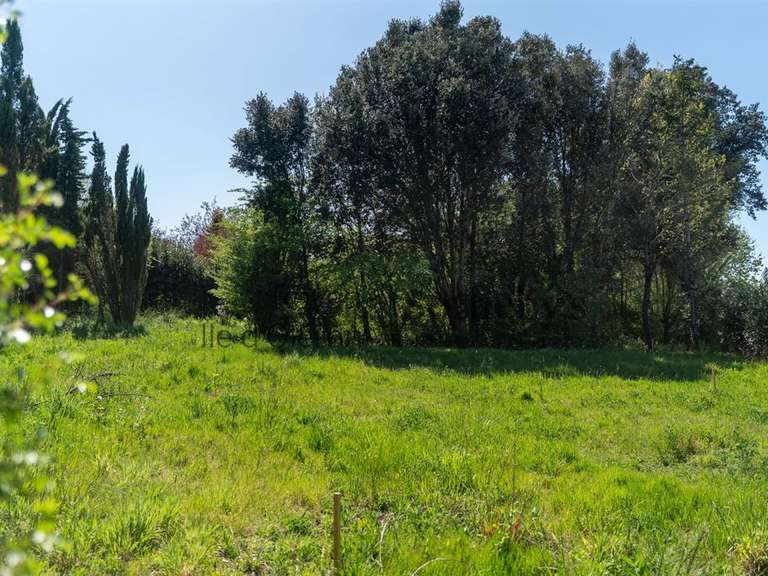 Terrain Vaux-sur-Mer - 1611m²