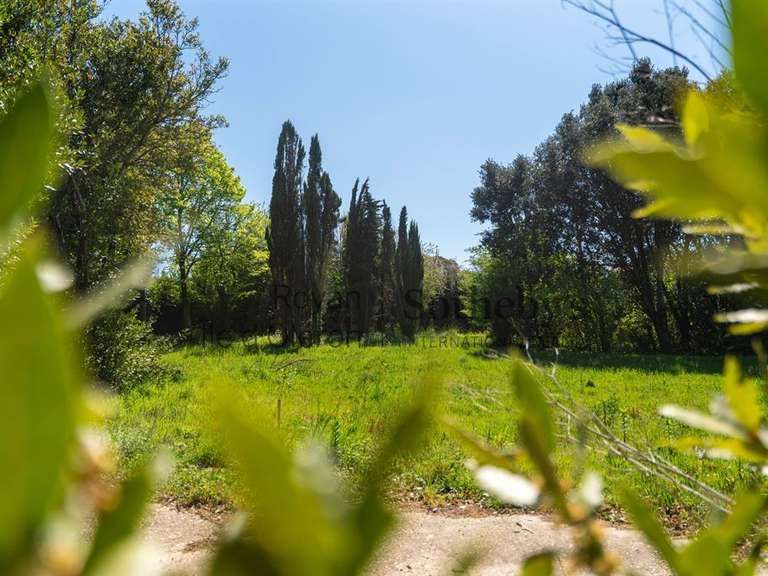Terrain Vaux-sur-Mer - 1611m²