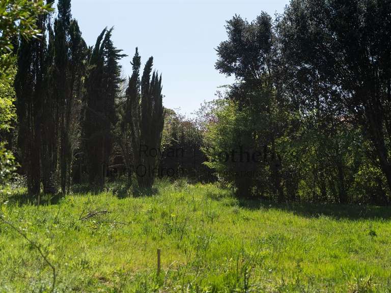Terrain Vaux-sur-Mer - 1611m²