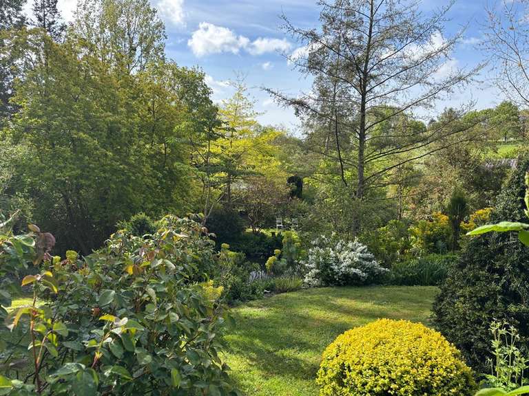 Maison Vaux-sur-Seulles - 3 chambres - 226m²