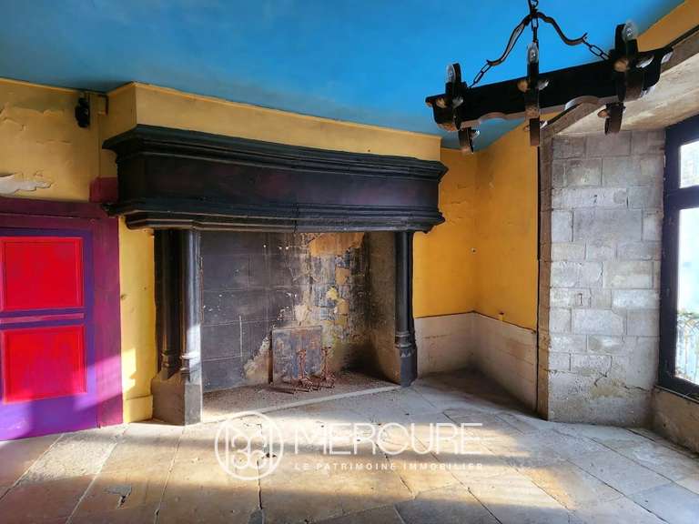 Château Veauce - 15 chambres - 5000m²