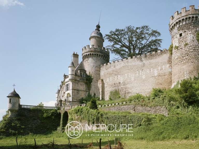 Château Veauce - 15 chambres - 5000m²