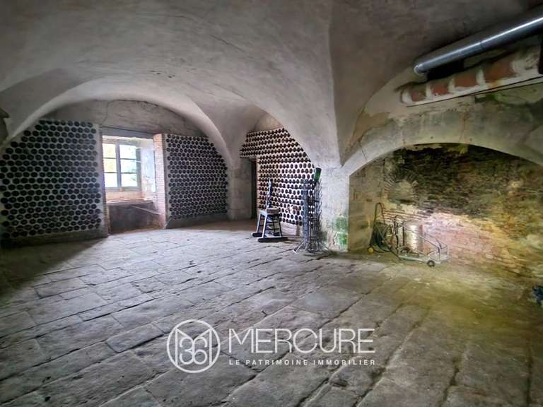 Château Veauce - 15 chambres - 5000m²