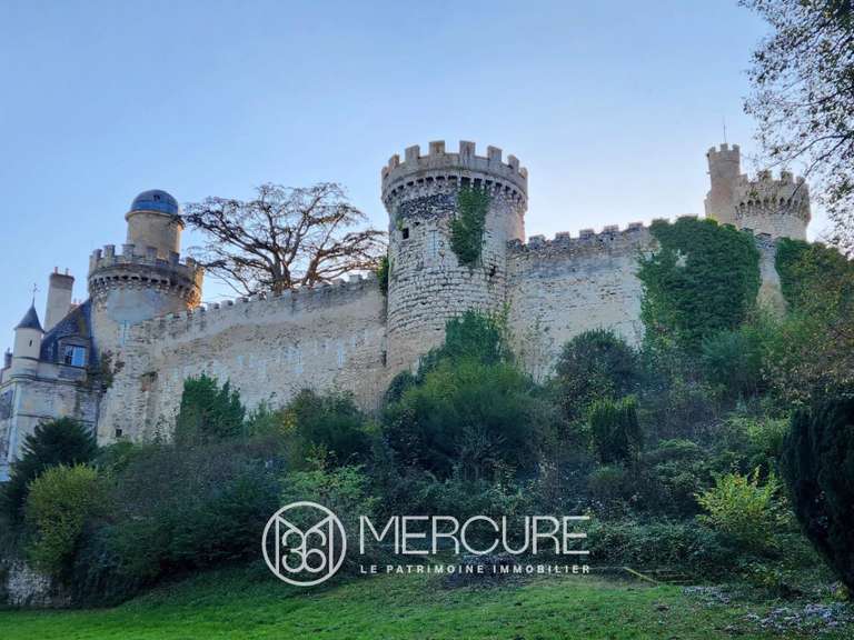 Château Veauce - 15 chambres - 5000m²