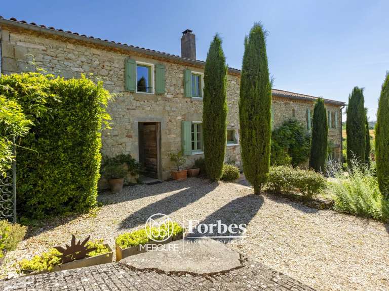 Propriété Veilhes - 6 chambres - 450m²
