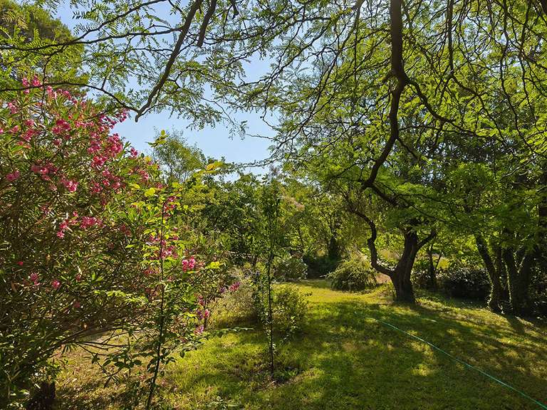 Maison Velleron - 5 chambres - 160m²