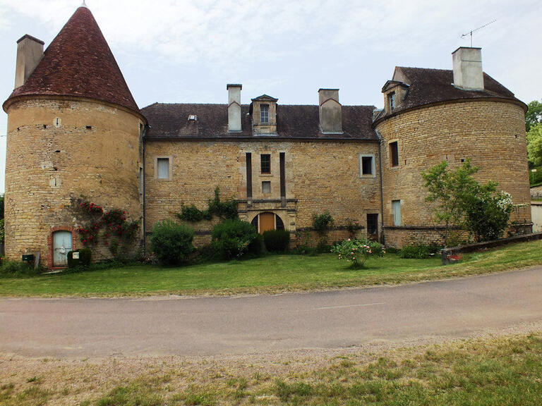Vente Château Venarey-les-Laumes - 7 chambres