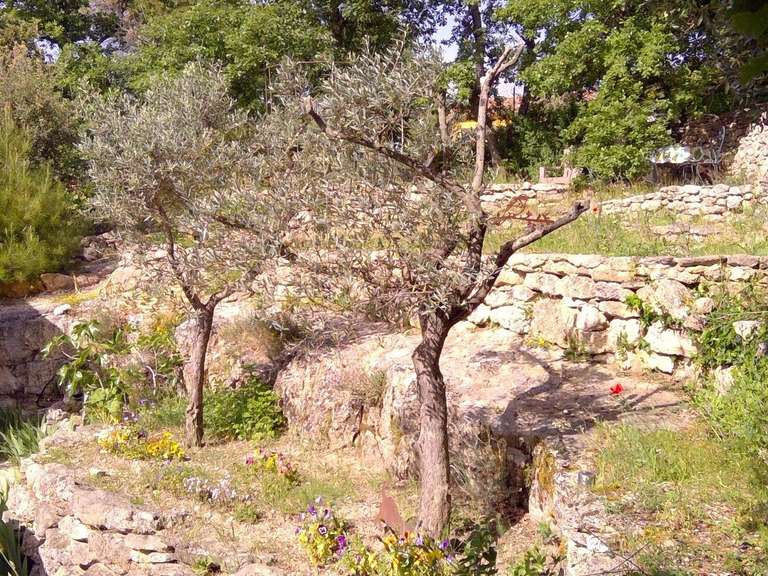 House Venasque - 4 bedrooms - 206m²