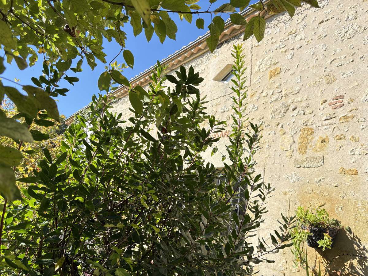 Maison Vendays-Montalivet