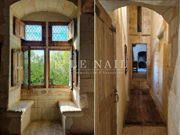 Castle Vendôme - 8 bedrooms - 400m²