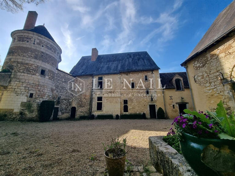 Castle Vendôme - 8 bedrooms - 400m²