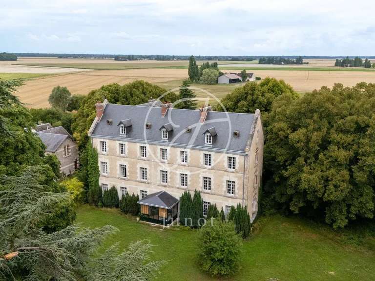 Castle Vendôme - 8 bedrooms - 1000m²