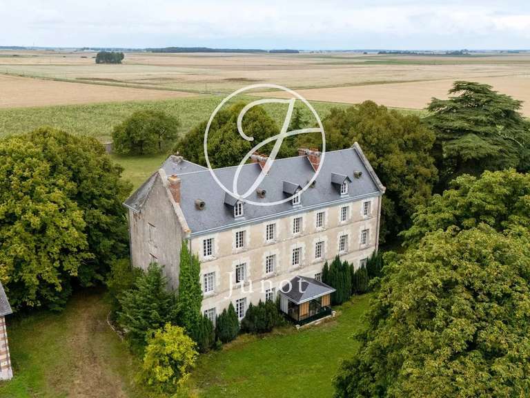 Château Vendôme - 8 chambres - 1000m²