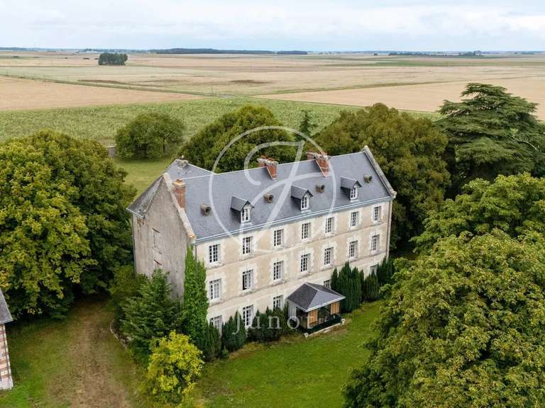 Castle Vendôme - 8 bedrooms - 1000m²