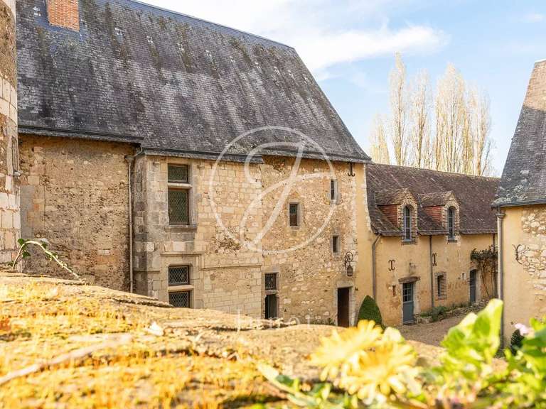 Château Vendôme - 7 chambres - 400m²