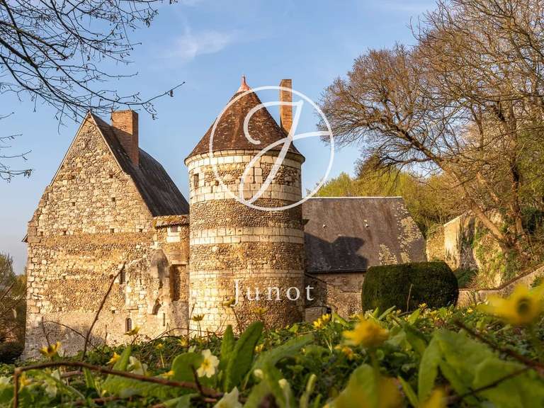 Château Vendôme - 7 chambres - 400m²