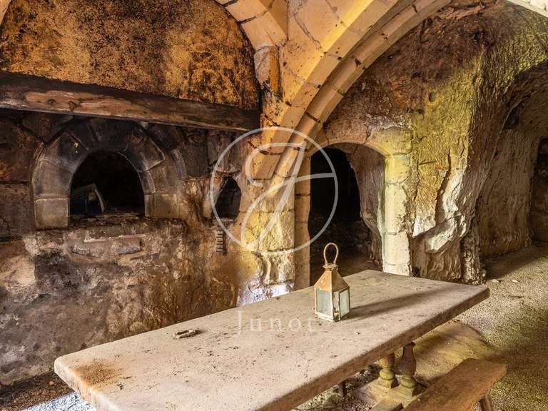 Château Vendôme - 7 chambres - 400m²