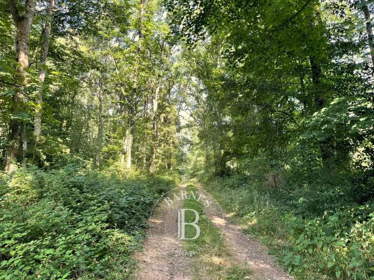 Castle Vendôme - 2157m²